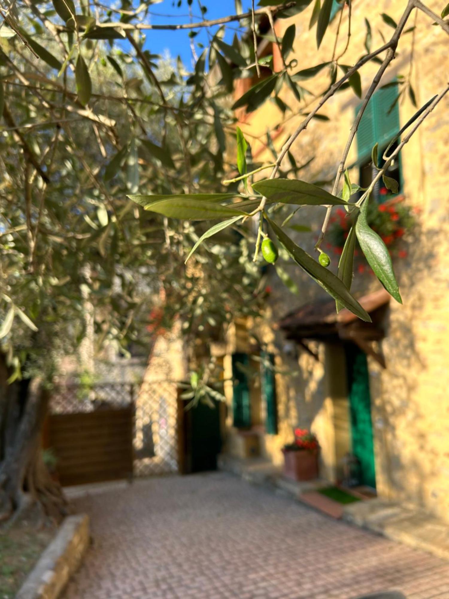 Casa Margot Garlenda